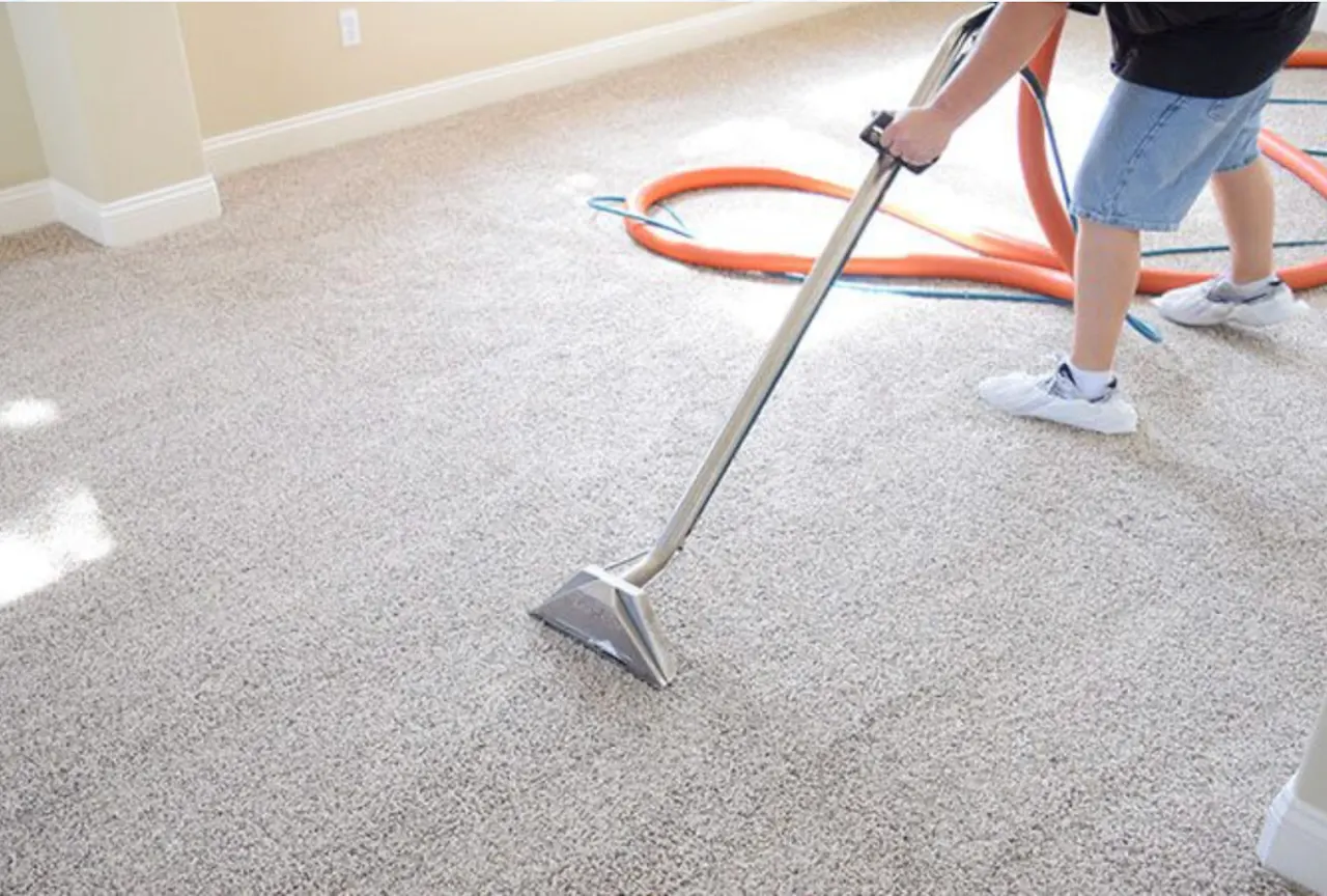 Bear Carpet Care cleaning a living room carpet in Harrisburg, PA