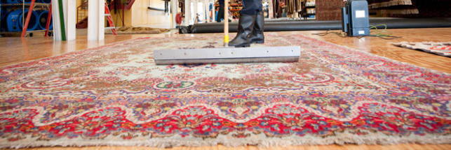 Rug Cleaning