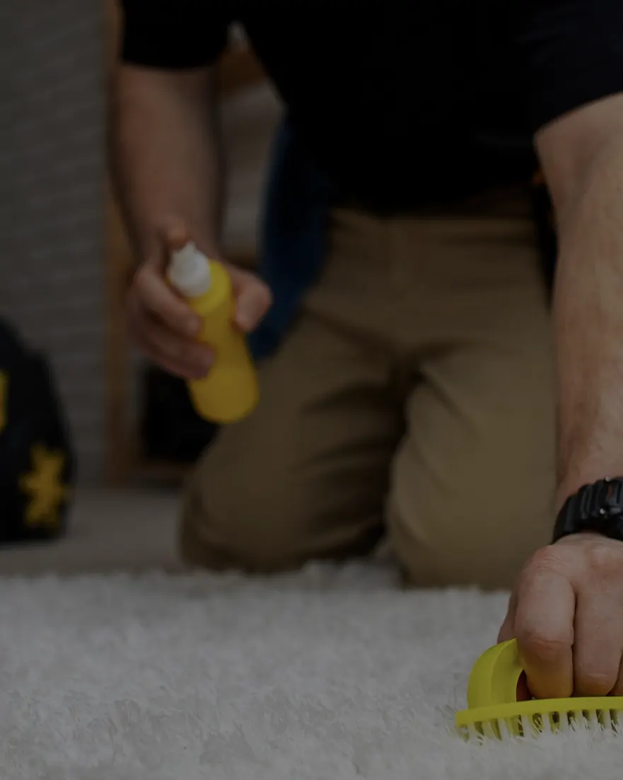 Spot-treating a stain on a cream carpet